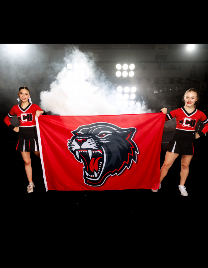 Spirit Flags