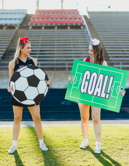 Soccer Goal Set
